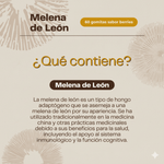 🦁 Melena de León🍄– Enfoque + Inmunidad 🧠 Oferta de marzo🎄Envío Gratis🔥